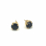 Ohrstecker Chaton 8mm Gold Produkt-Bild